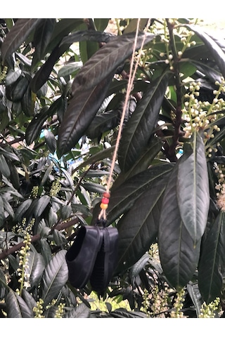 Dekoratif Kara Lastik 0