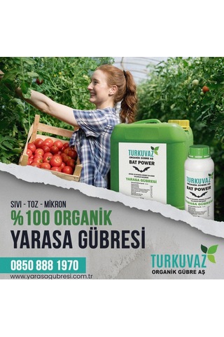 2.5 KG.Turkuvaz Organik Mikron Toz Yarasa Gübresi (Yüksek Fosfor)