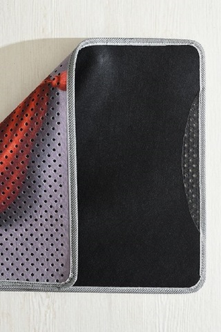 Kar Mat Kedi Kumu Paspası Delikli Kedi Tuvaleti Paspası 40 x 60 CM