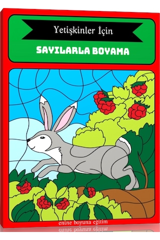 Yetişkinler İçin Sayılarla BOYAMA Kitabı