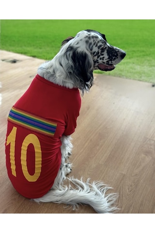 Kemique Uno Red Büyük Irk Köpekler İçin Tişört