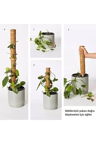 Abaka Sarmaşık Destek Çubuğu 80 Cm