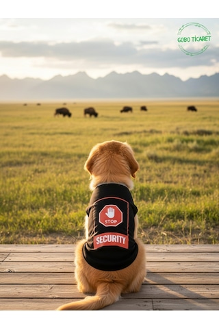 Siyah Stop Security Güvenlik Baskılı Kedi Ve Köpek Kıyafeti Tişörtü Elbisesi Medium/m/beden 2