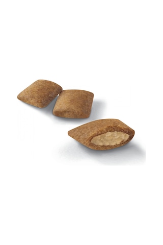 Royal Canin Exigent Yetişkin Köpek Maması 12 x 85 G