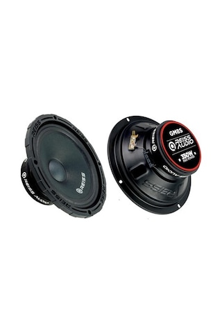 Rs-gm8s 20 Cm Midrange Çifti 700 Wat 300 Rms 2 Adet Rs128