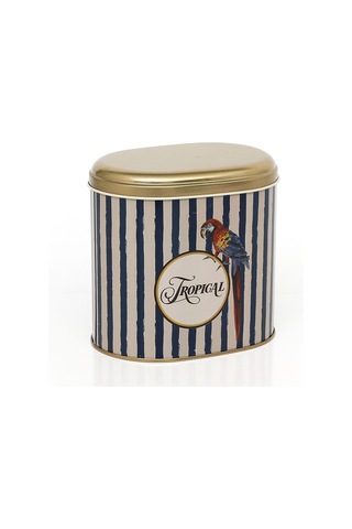 Safari Parrot Desenli Oval Metal Saklama Kabı 14 x 12 x 13 CM 1.4 L Çok Renkli