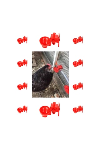 Biltek Otomatik Tavuk ve Civciv Suluk 10 Adet + 1 Adet Depo Aparatı