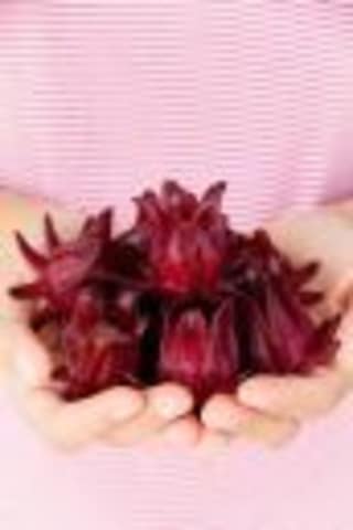 Sudan Bamyası Çiçeği Tohumu Roselle Çiçeği Tohumu Hibisküs Çiçeği Tohumu 20 Adet Tohum