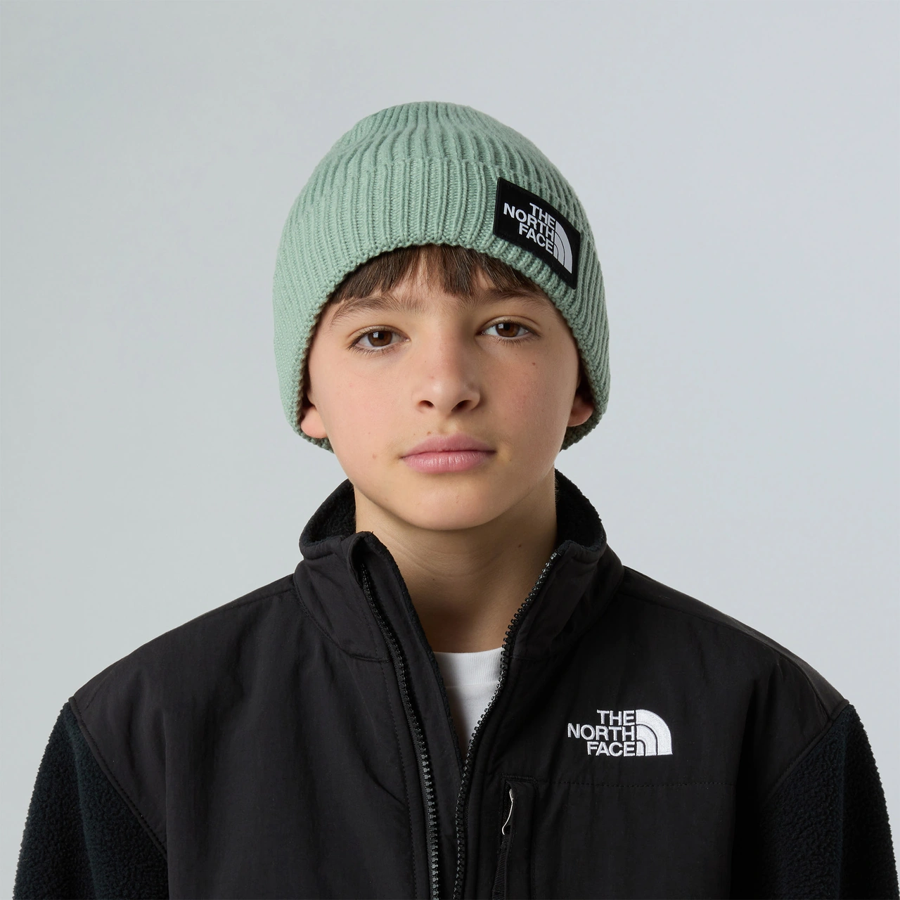 The North Face Logo Box Cuffed Yeşil Bere Nf0a8cgubq11 Yeşil