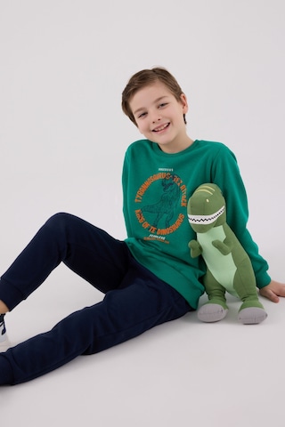 Rolypoly Erkek Çocuk Yeşil Eşofman Takımı Rp3673-c-v2 Yeşil