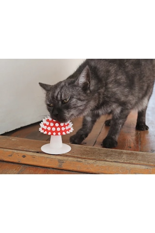Pureysma Görünümlü Kedi Kaşıma Oyuncağı Tımar Catnip Uy Beyaz - Kırmızı
