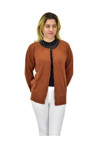 Kadın Triko Spor Hırka Bgl-st04086 Taba
