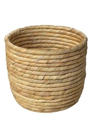 Ikea Sandödla Rattan Saksı , Su Sümbülü, 15 Cm -