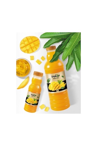 Yelpaze Mojtaba Doğal Mango Suyu 1000 ML