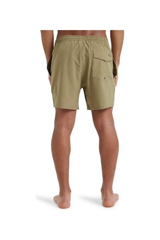 Quiksilver Eqyjv04118-26114 Surfsilk Solid Volley 16 Erkek Şort Mayo Yeşil