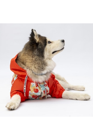 Ottawa Büyük Irk Köpek Mont Köpek Yağmurluk Köpek Kıyafeti Köpek Elbisesi