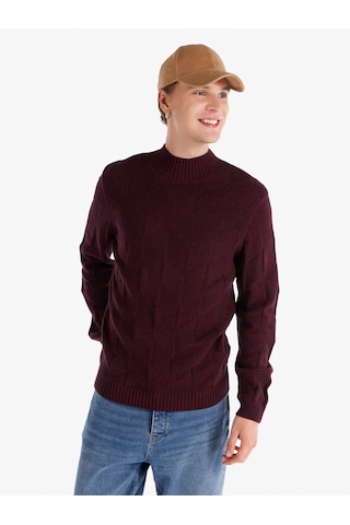 Colin's Colins Regular Fit Balıkçı Yaka Mor Erkek Kazak Cl1065745 Mor