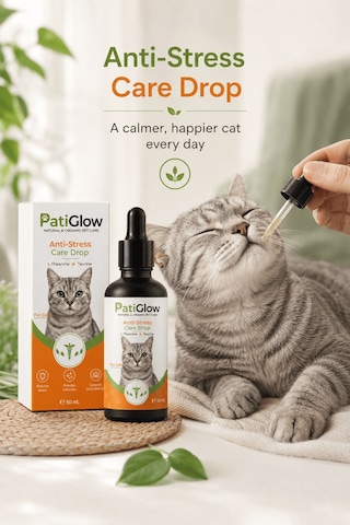 Patiglow Kedi Anti-stres Damla
