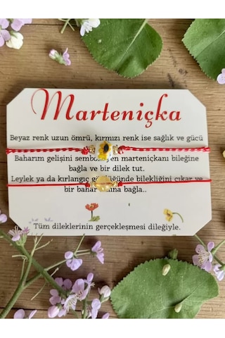 Marteniçka Sitrin Taşı Ve Seramik Boncuklu Bileklik Çok Renkli
