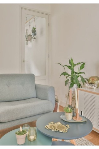 Diffuser:spring Evinizin Ruhunu Yenileyin Adaçayı