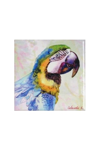 Sublimasyon Seramik Fayans 20x20 Cm