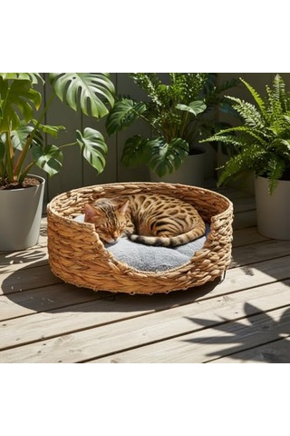 Kuzu Ciğer 100 Gram Köpek Ödül Sı