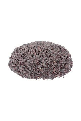 Siyah Hardal Tohumu 50 Gr 1 Adet