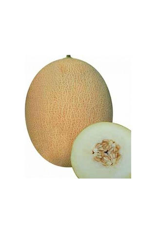 Tohumculuk Süper Paket 500 Adet Tohum Mis Kokulu Bal Ananas Kavun Tohumu