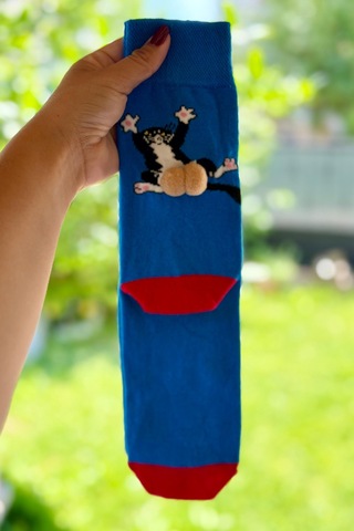 Lousocks Unisex Lacivert Sırtüstü Kedi Desenli Ponpon Soket Çorap
