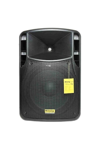 König K-1515 Kabin Hoparlör 15'' 800 Watt