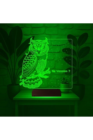 Luvivia Baykuş Kuş Tasarım Kişiye Özel 3d Lamba - Masa Gece Lambası Şeffaf