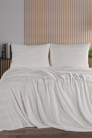 Zebracasa Cozy Tek Kişilik Battaniye Takımı Krem