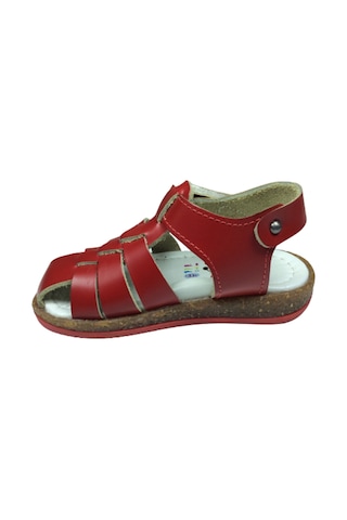 Ortopedikal 1001 Bebe Unisex Çocuk Sandalet Cırtlı Deri Kırmızı
