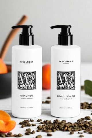 Wellness Exclusive White Tea & Apricot Shampoo 380 Ml + Conditioner 380 Ml Tüm Saçlar