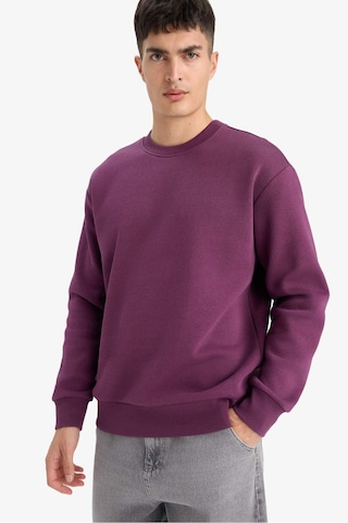 Defacto Relax Fit Bisiklet Yaka Kalın İçi Yumuşak Tüylü Basic Düz Sweatshirt T5139az25aupr79 Mor