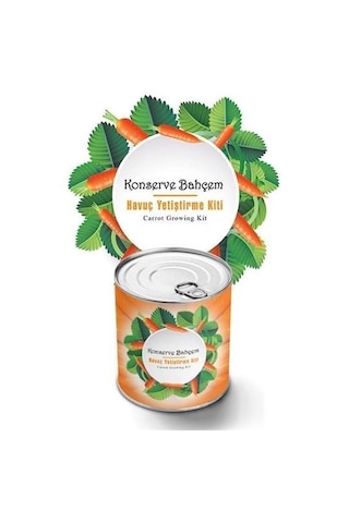 Buffer Konserve Bahçem Evde Konservede Havuç Yetiştirme Büyütme Kiti Mavi