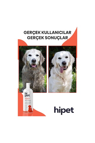 HiPet Köpek Kuru Şampuan