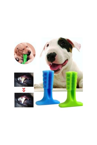 Köpek  Diş Temizleyici Ve Kaşıyıcı Küçük  Boy Oyuncak