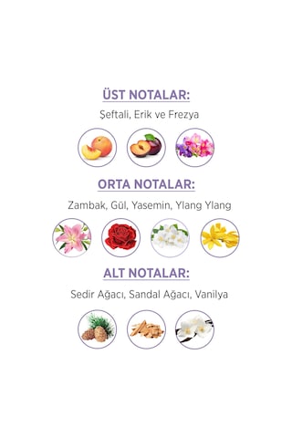 Privacy Limited Edition Kadın Parfüm EDT 50 ML + Emotion Detox Floral Kadın Sprey Dedodorant 3 x 150 ML