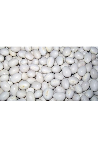 Şeker Fasulye 1 KG Şeker Fasulye 1 KG
