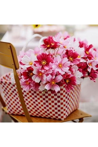 Ikea Smycka Yapay Buket, Pembe, 50 Cm, İç/dış Mekan Cosmos