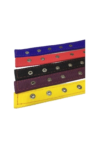 Kedi - Köpek Boyun Tasması 50 CM
