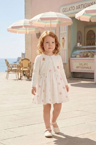 Pamina Kids Kız Bebek İşlemeli Gül Desenli Elbise Ve Ceket Takımı Bayram - Doğum Günü - Partielbisesi 6-24 Ay 36385pr-ekru-2436 Ekru