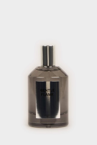 Defacto Erkek 100 ml Parfüm H1479AXNS