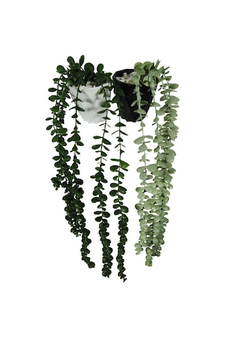 Yapay Çiçek DIY Elmas Saksı İçerisinde Sarkan Okaliptus 2'li Set Çok Renkli