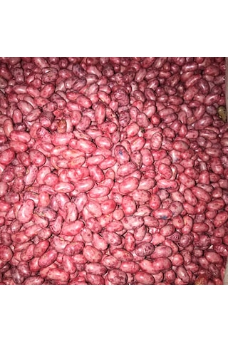 Gina Oturak Fasulye Tohumu 100 GR N114581