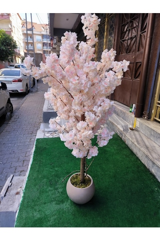 Rüzgar Yapay Çiçekçilik 150 Cm Yükseklikte Bahar Dalı Ağacı Krem