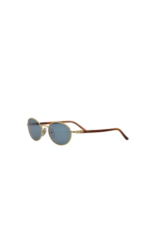 Po 1018s 113256 55 Erkek Güneş Gözşüğü Gold