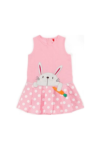 Denokids Havuç Delisi Elbise Pembe