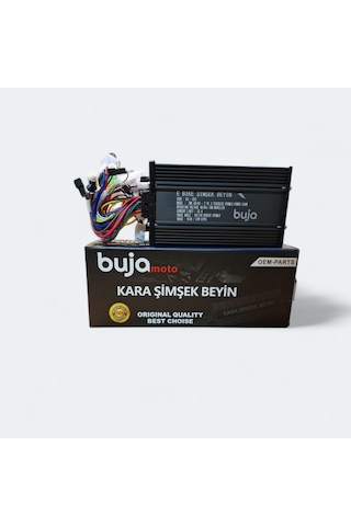 Buja - n11